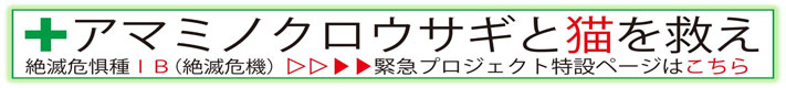 公益財団法人どうぶつ基金さくらねこTNR徳之島
