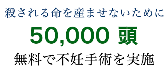 殺される命を産ませないために35,000頭無料で不妊手術を実施
