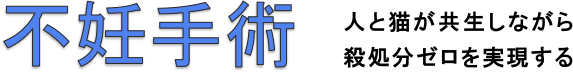 不妊手術 人と猫が共生しながら殺処分ゼロを実現する