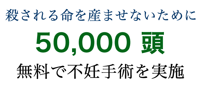 殺される命を産ませないために35,000頭無料で不妊手術を実施