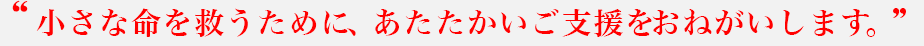 小さな命を救うために、あたたかいご支援をおねがいします。