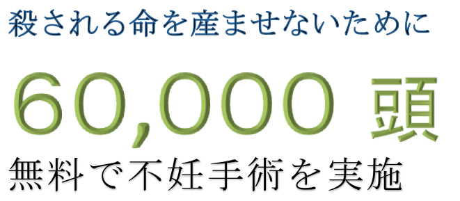 殺される命を産ませないために35,000頭無料で不妊手術を実施