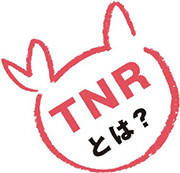 ＴＮＲとは