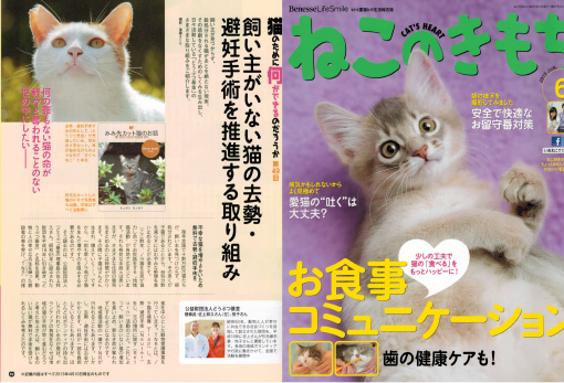 猫の気持ち　6月号