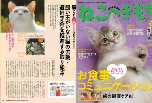 猫の気持ち　6月号