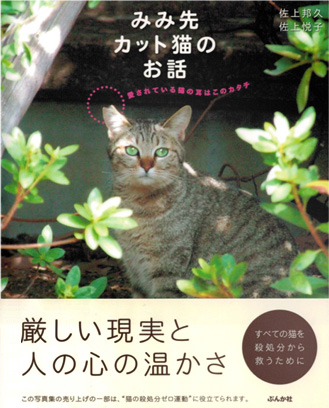 mimisaki みみ先カット猫のお話