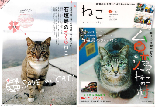 雑誌ねこ冬号