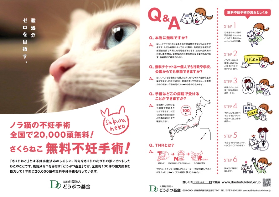 flyer_01 フライヤー