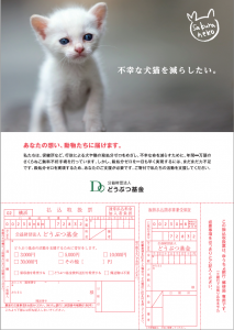 寄付フライヤー