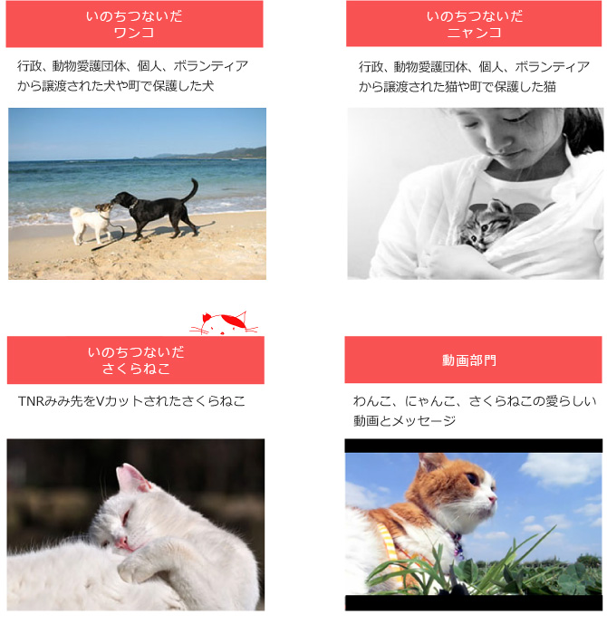 部門紹介