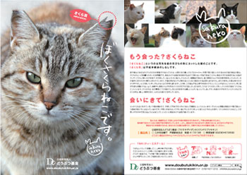 flyer_01 フライヤー