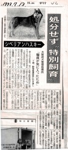 毎日新聞1993年7月13日（拡大画像）