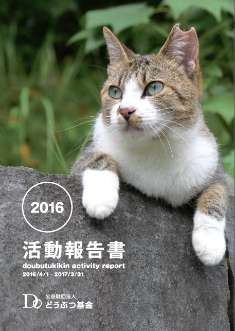 活動報告書2015