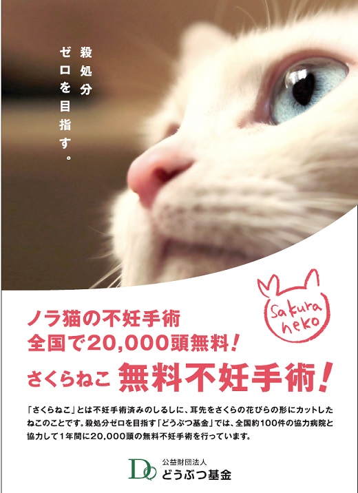 flyer_01 フライヤー