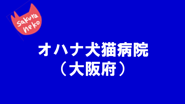 タイトルなし