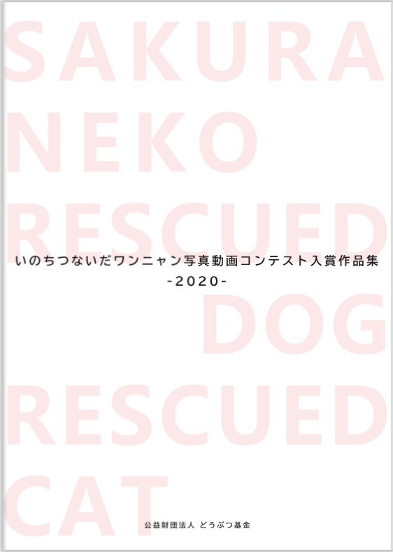 殺処分ゼロをめざす どうぶつ基金です。