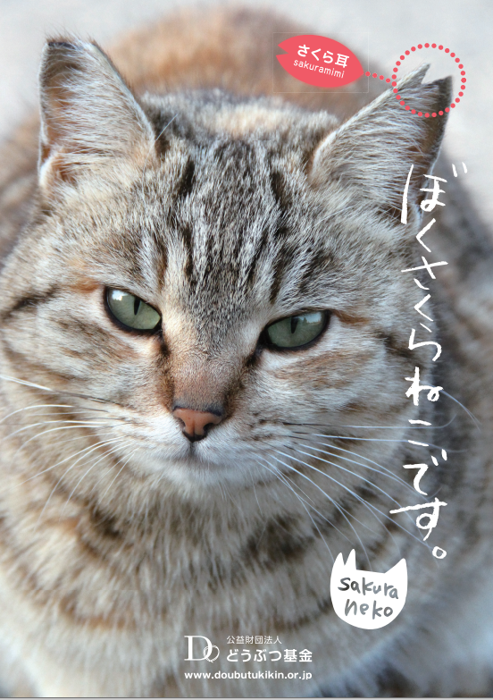 ポスター チラシ 冊子 提供 どうぶつ基金 ポスター チラシ 冊子 提供 どうぶつ基金