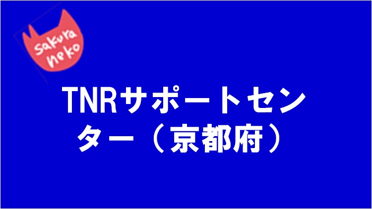 タイトルなし