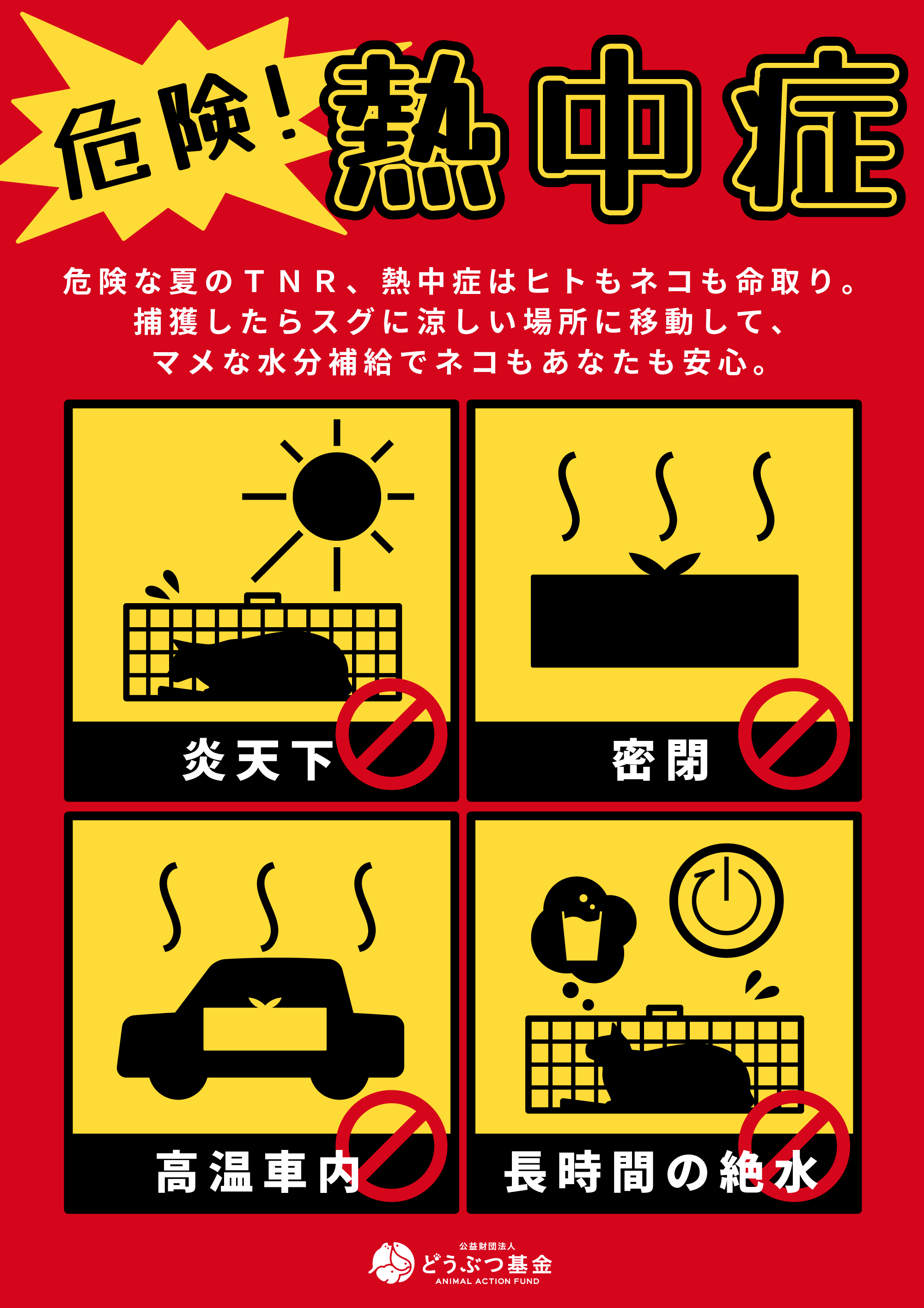 フライヤー
