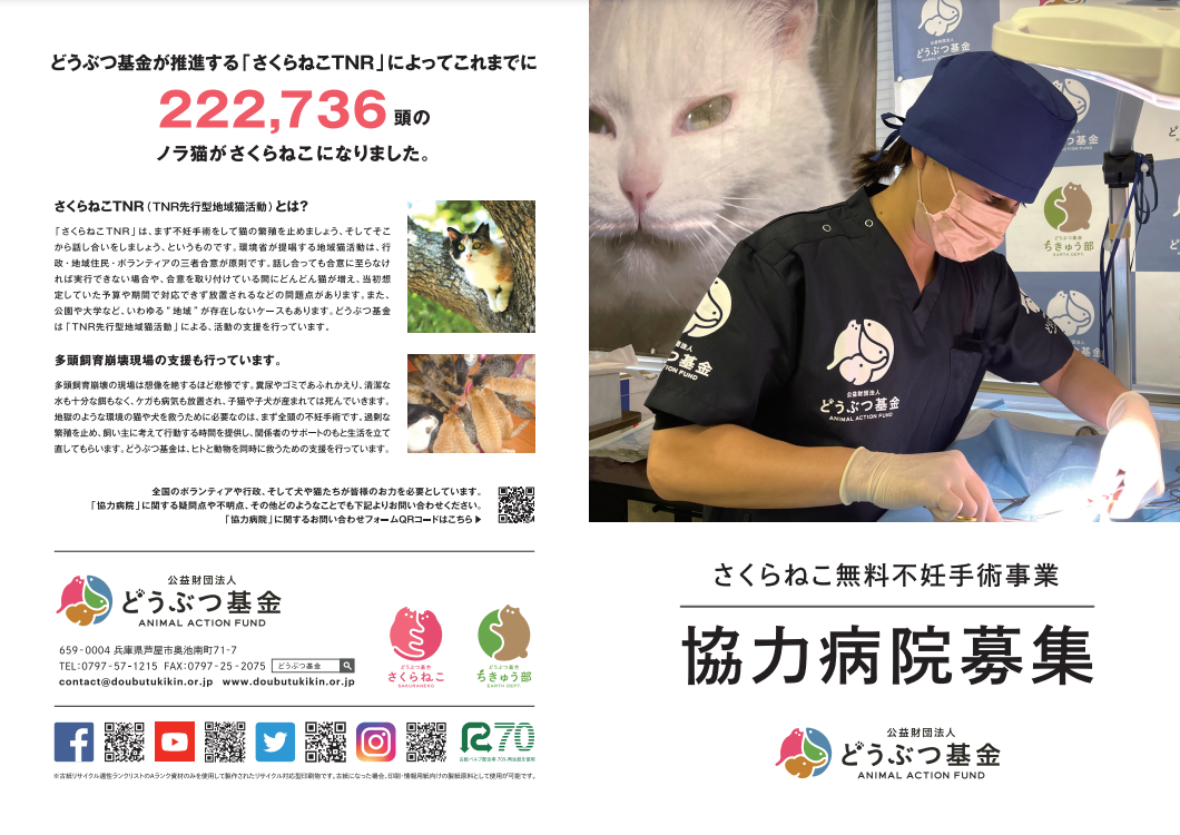 フライヤー