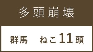 34_群馬県甘楽町多頭飼育救済支援レポート(行政枠）