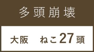 50_大阪府松原市多頭飼育救済支援レポート(行政枠）