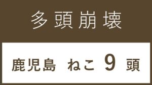 51_鹿児島県鹿児島市多頭飼育救済支援レポート(行政枠）