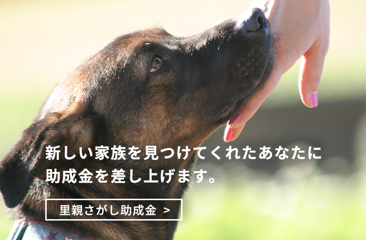 里親さがし助成金