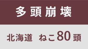 31_北海道羅臼町（暫定）多頭飼育救済レポート（行政枠）　　