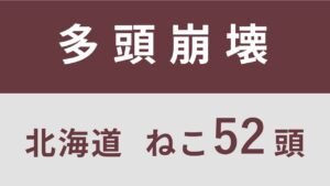 42_北海道むかわ町多頭飼育救済レポート（行政枠）　