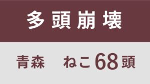51_青森県東北町多頭飼育救済レポート（行政枠）　　