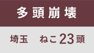60_埼玉県川口市保健所多頭飼育救済レポート（行政枠）　