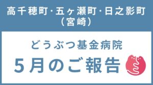 宮崎県山間部TNR地域集中プロジェクト 5月ご報告！