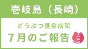 壱岐島TNR地域集中プロジェクト 7月ご報告！