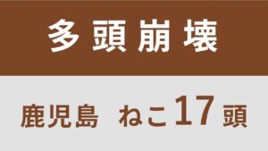 16_鹿児島県肝付町多頭飼育救済支援レポート(行政枠）