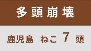 20_鹿児島県鹿児島市多頭飼育救済支援レポート(行政枠)