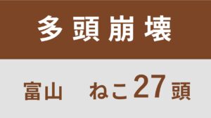 28_富山県立山町多頭飼育救済支援レポート(行政枠)