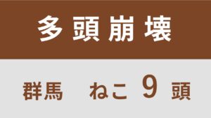 17_群馬県桐生市多頭飼育救済レポート(行政枠)