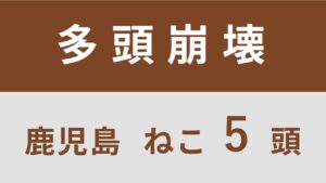 25_鹿児島県南九州市多頭飼育救済レポート(行政枠) 同案件2回目(1回目⑭)
