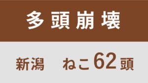 37_新潟県津南町多頭飼育救済支援レポート(行政枠)