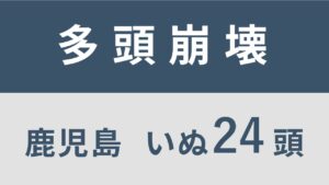 27_鹿児島県南九州市多頭飼育救済支援レポート(行政枠)