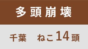 34_千葉県君津市多頭飼育救済支援レポート(行政枠)
