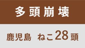 35_鹿児島県肝付町多頭飼育救済支援レポート(行政枠)