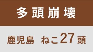 42_鹿児島県霧島市多頭飼育救済支援レポート(行政枠)