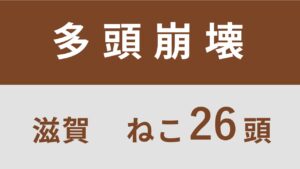 49_滋賀県長浜市多頭飼育救済支援レポート（行政枠）