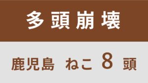 55_鹿児島県肝付町多頭飼育救済支援レポート(行政枠)