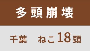 58_千葉県多古町多頭飼育救済支援レポート(行政枠)