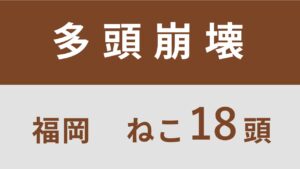 61_福岡県小郡市多頭飼育救済支援レポート（行政枠）