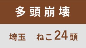 64_埼玉県熊谷市多頭飼育救済支援レポート(行政枠)