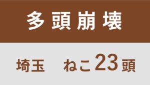 73_埼玉県さいたま市多頭飼育救済支援レポート(行政枠)
